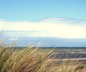 de zee t.h.v. Koksijde
