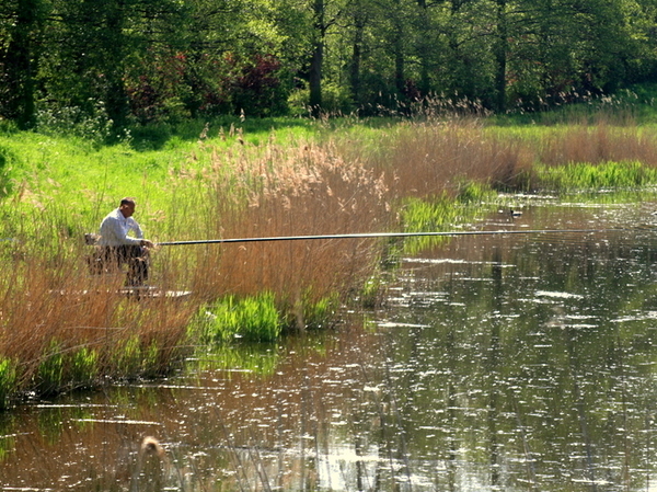 Nieuwpoort stad - visser