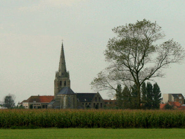 Bulskamp