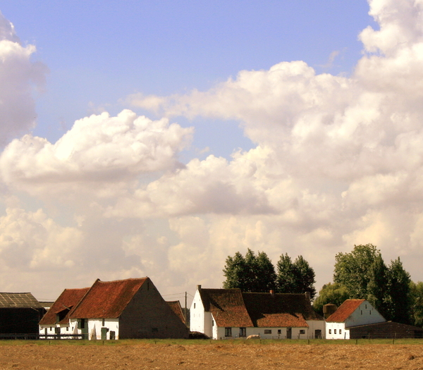 zomer in de Westhoek
