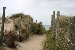 De Panne - duinen