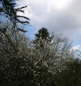 lente op de Hoge Blekker