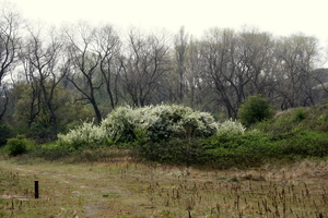 lente in de Doornpanne