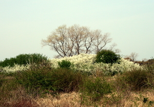 lente in de Doornpanne