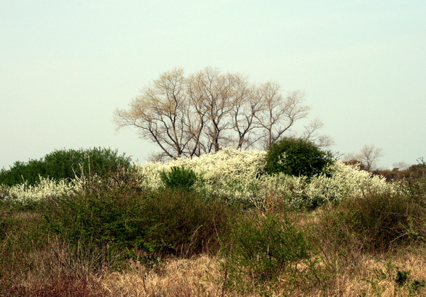 lente in de Doornpanne