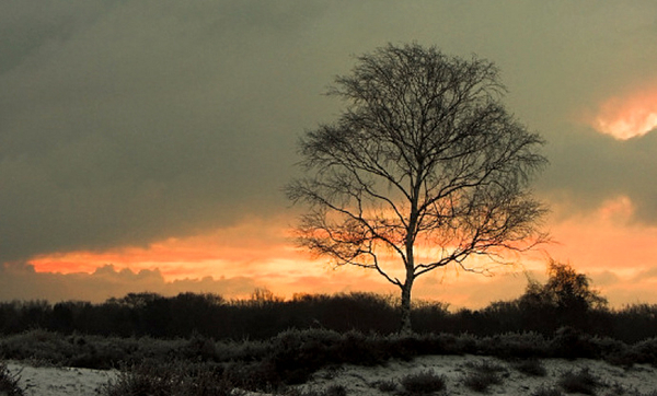 dreigende sneeuwlucht boven Hoge Blekker
