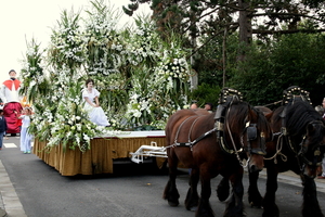 Koksijde bloemenstoet 2008