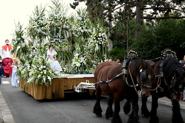Koksijde bloemenstoet 2008