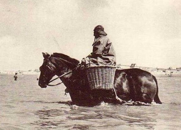 garnaalvisser te paard. (uit de oude doos)