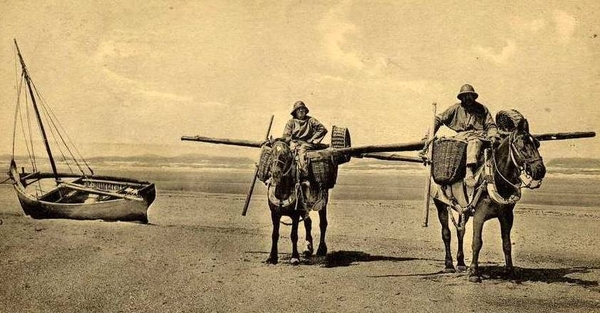 garnaalvissers te paard. (uit de oude doos)