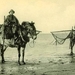garnaalvissers te paard. (uit de oude doos)