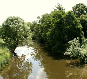 De Lovaart t.h.v. Fortem (Alveringem)