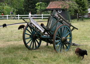 kinderboerderij in Plopsaland.