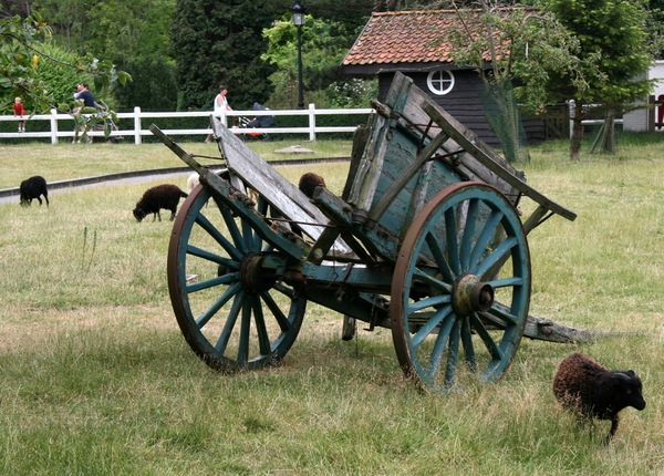 kinderboerderij in Plopsaland.