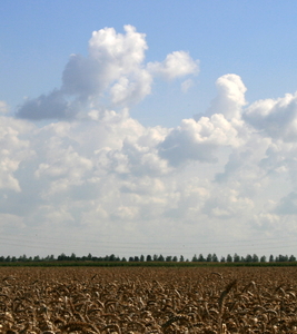 De oogsttijd nadert !