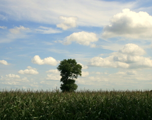 Op weg naar Bulskamp.