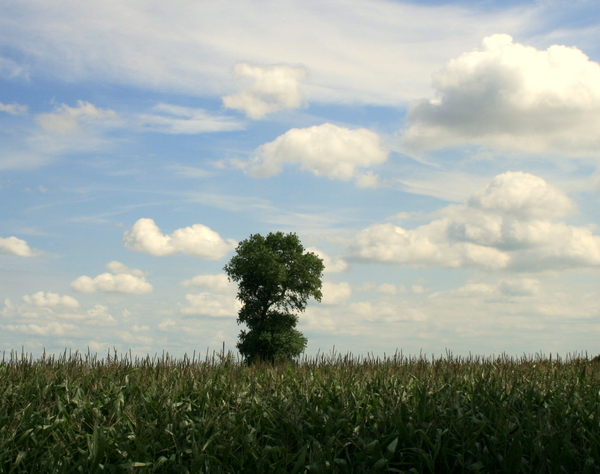 Op weg naar Bulskamp.