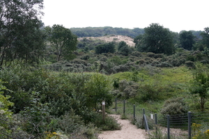 Wandelweg - De Panne