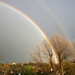 Regenboog boven Hoge Blekker.