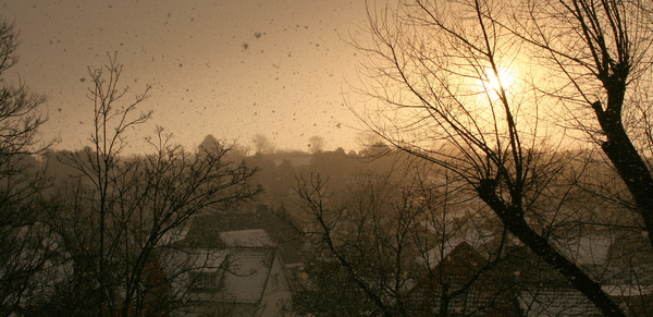 Sneeuwbui bij zonsopkomst !