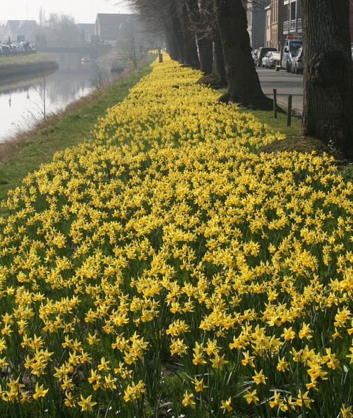 Begin van de Lente - maart 2014 - Veurne
