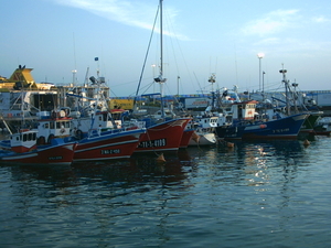 De haven in Los Cristianos