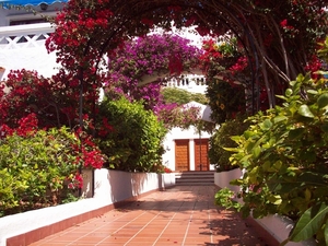 Zeg nu zelf ,is het niet mooi ? aan ons apt. met de kleinkinderen