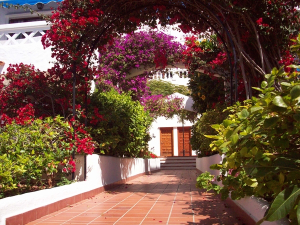 Zeg nu zelf ,is het niet mooi ? aan ons apt. met de kleinkinderen