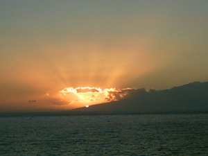 Dat het telkens zo vlug voorbij is h .