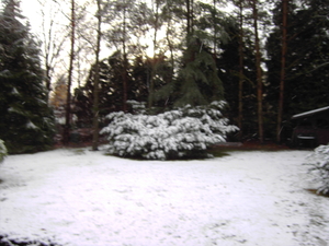 23/11/2008 de vroege sneeuw