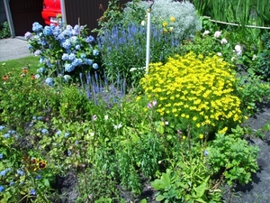 thuis 13juli 2008 (5)