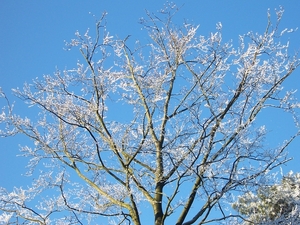 22 dec 2007 kodak 001