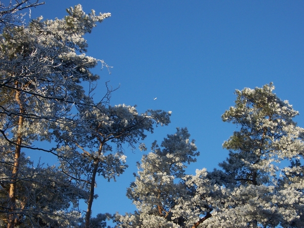 22 dec 2007 kodak 002