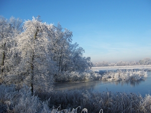 22 dec 2007 kodak 003