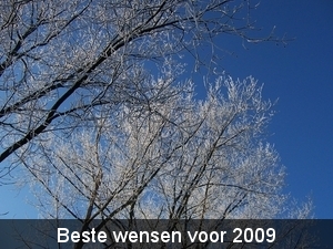 22 dec 2007 kodak 004