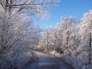 22 dec 2007 kodak 005