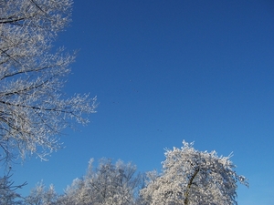 22 dec 2007 kodak 006