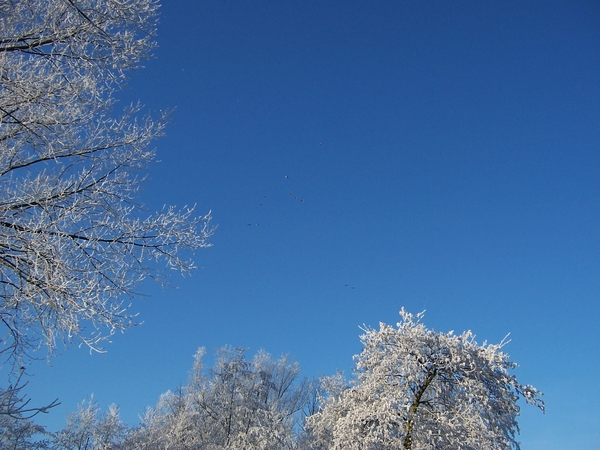 22 dec 2007 kodak 006