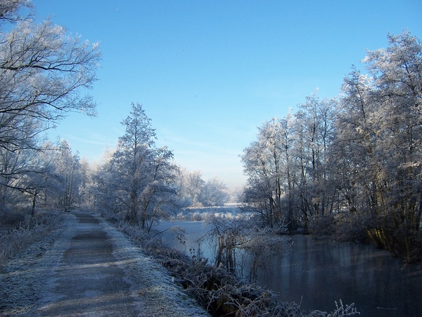 22 dec 2007 kodak 007