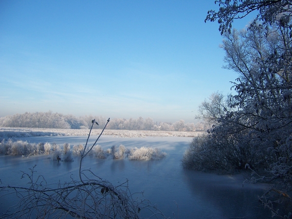 22 dec 2007 kodak 009