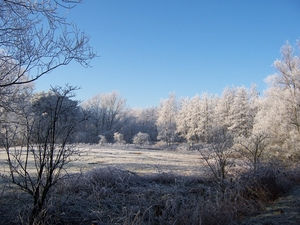 22 dec 2007 kodak 010