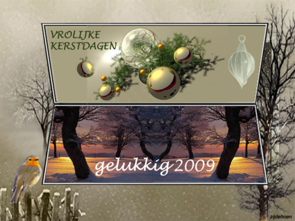 zijdehoen