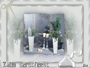 jandewitte3