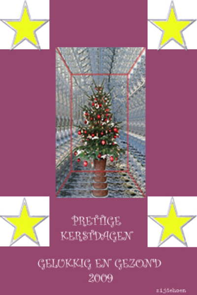 zijdehoen1