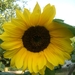 zomer 2007