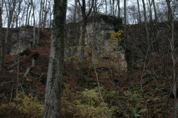 DSC_3516