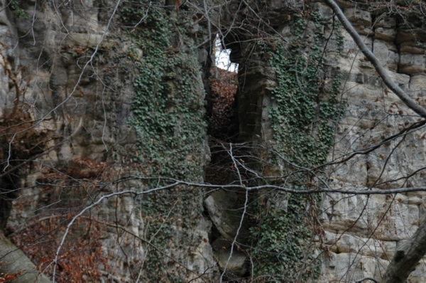 DSC_3518