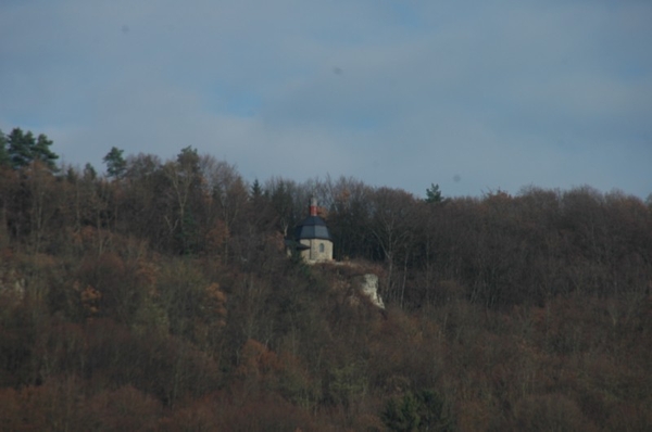 DSC_3526