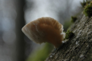 DSC_3556