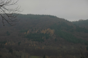 DSC_3557
